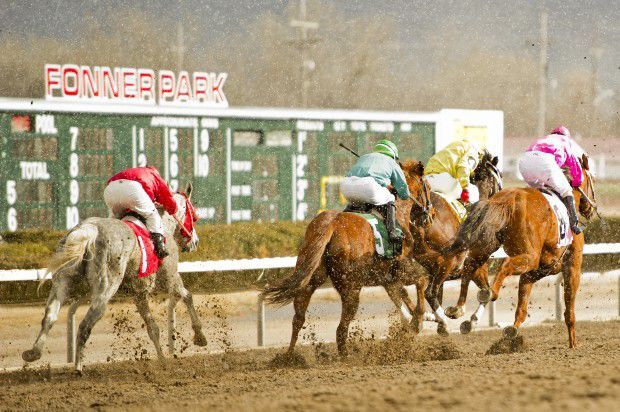 Horses race